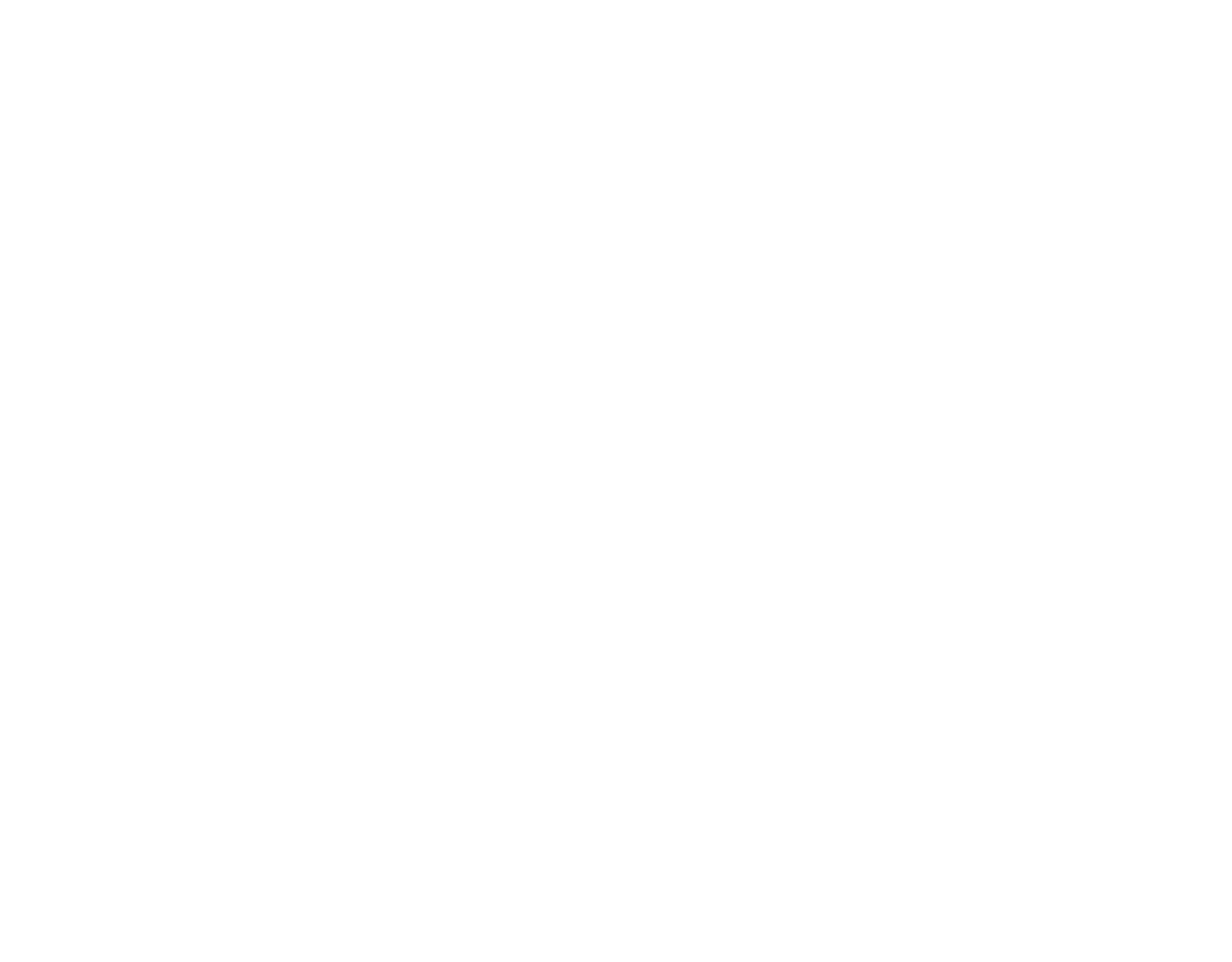 Official Meta Tech Partner